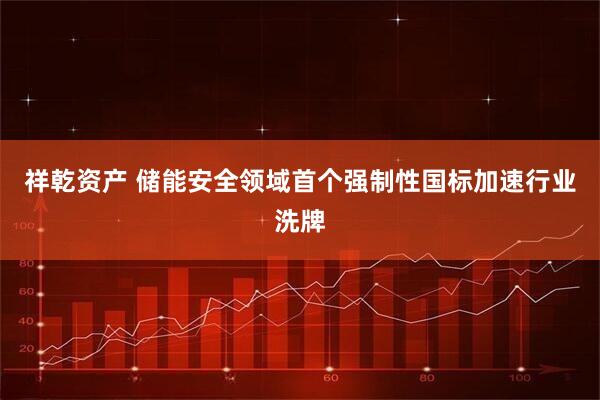 祥乾资产 储能安全领域首个强制性国标加速行业洗牌