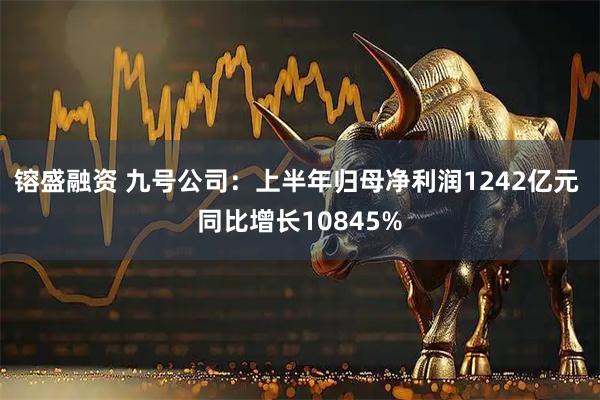 镕盛融资 九号公司：上半年归母净利润1242亿元 同比增长10845%
