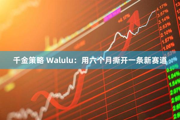 千金策略 Walulu：用六个月撕开一条新赛道